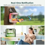 Smart Bird Feeder with Camera Solar Powered - 2K HD Video Camera AI Identify Birds Send Real-time Notifications and Instant Arr 4