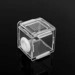 Ant Nest Glass Tube Mini Ant Nest with Active Zone Insect House Acrylic Ant Farm 090C 5