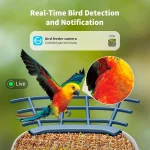 Smart Bird Feeder with Camera: AI Identifies Species, No Subscription, Solar Powered, 2K HD Video & Alerts 6