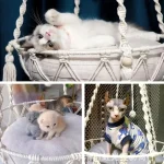 Extra Large Hand-woven Cotton Rope Cat Hammock 40cm/15.75in Super Load-bearing Durable Fits 2 Cats | 24-hour Shipping 4