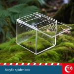 House-Shaped Acrylic Reptile Breeding Box | Transparent Pet Habitat for Spiders, Lizards & Insects | Magnetic Door & Breathable 4