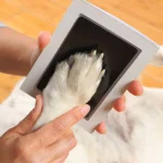 Paw Print Clean Touch Ink Pad, Dog Or Cat Pet Owner Keepsake, DIY Inkless Nose and Pawprint Impression Making Kit 3