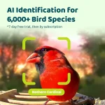 Smart Bird Feeder with Camera, Solar Powered, 2K HD Live Stream, AI Recognition for Bird-Watching & Learning 6
