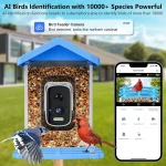 Smart Bird Feeder with Camera AI Bird Species Identify Solar Powered Wireless Outdoor 5MP HD WiFi Bird Camera for Outside Garden