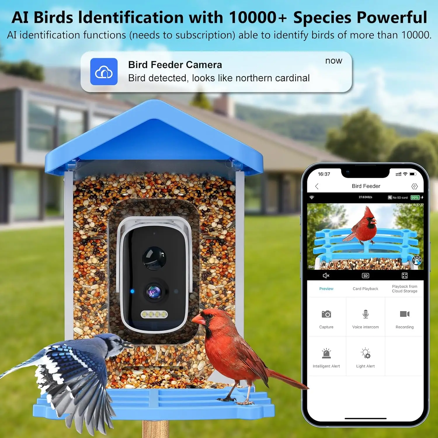 Smart Bird Feeder with Camera AI Bird Species Identify Solar Powered Wireless Outdoor 5MP HD WiFi Bird Camera for Outside Garden Smart Bird Feeder with Camera AI Bird Species Identify Solar Powered Wireless Outdoor 5MP HD WiFi Bird Camera for Outside Garden