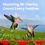 Hummingbird Feeder with Dual Cameras AI Identify - 2K HD Smart Cameras Close-Up Bird Video/Live Watching Instant Notifications 2