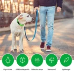 3 Modes Dog Luminous Charge Collar Led Usb Cat Dogs Collars Detachable Night Led Glow Dog Loss Prevention Collar Pet Accessories 4