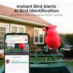 Smart Bird Feeder with Camera Solar Powered 2K HD Video AI Bird Species Identification Instant Arrival Alerts Weatherproof Desi 3