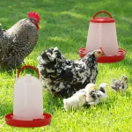 3kg+3L Poultry Feeder And Waterer Water Food Dispenser Automatic Chicken Birds Chick Waterer Feeding Bucket Container Supply 2