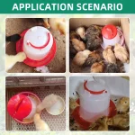 3kg+3L Poultry Feeder And Waterer Water Food Dispenser Automatic Chicken Birds Chick Waterer Feeding Bucket Container Supply 5