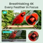 Smart Bird Feeder with Camera for Outdoor Use ABS Plastic Body Black Finish 4K UHD Video Dual-Band Wi-Fi Solar Powered AI Bird 3