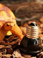 25/50/75/100W E27 Reptile Pet Heating Lamp Black Infrared Ceramic Emitter Heat Light Bulb Turtle Lizard Pet Brooder 220V 6