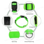 3 Modes Dog Luminous Charge Collar Led Usb Cat Dogs Collars Detachable Night Led Glow Dog Loss Prevention Collar Pet Accessories 6