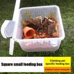 10x Feeding Box Reptile Cage Hatching Container Rearing Tank Clear Reptile Vivarium Terrarium Insect Rearing Box Food Feeding 4