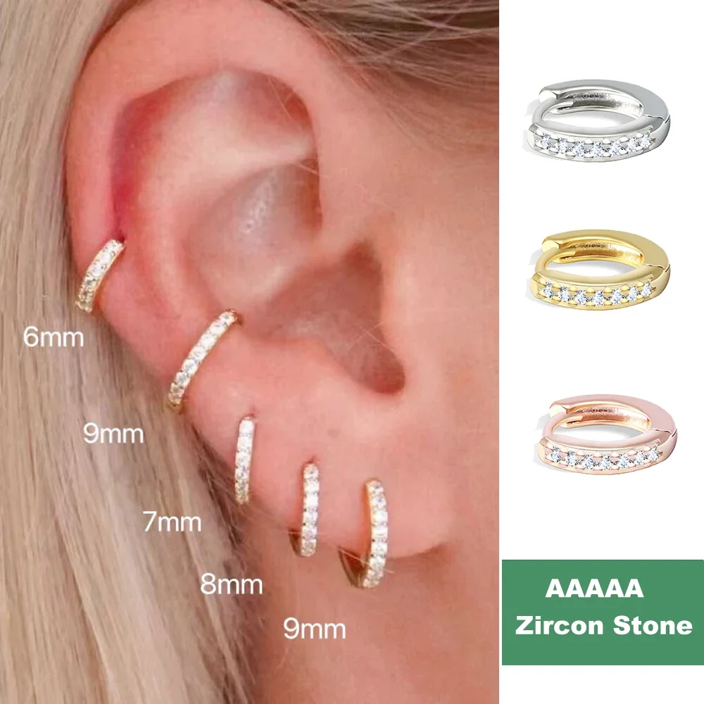 2/6PCS 316L Stainless Steel Minimalist Hoop Earrings Crystal Zirconia Small Cartilage Helix Tragus Piercing Jewelry for Women 2/6PCS 316L Stainless Steel Minimalist Hoop Earrings Crystal Zirconia Small Cartilage Helix Tragus Piercing Jewelry for Women