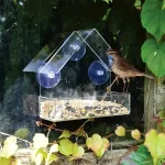 Acrylic Bird Feeder Clear Window Outside Hanging Bird Feeder House with Suction Cup for Garden Outdoor Backyard Wildlife Birding 4