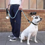 Reflective Dog Leash With Comfortable Padded Handle - Double Heavy Duty Traction Rope For Strong Dogs - Enhance Safety And Contr 6