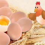 6/12/18/24pcs Plastic Eggs Chicken House Small Fake Eggs Farm Animal Supplies Cages Accessories Guide Chicken Nest Egg Painting 5