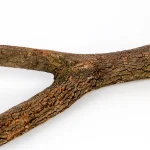 1pcs 15/20/30cm Birds Accessories Bird Cage Sticks Wooden Stuff Stand Tree Branch Perches Asesorips Para Aves Vogel Stokjes 6