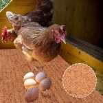 Eco-Friendly Coconut Coir & Palm Fiber Chicken Nesting Pads - Reusable Hens Bedding Mats for Egg Laying, Durable Poultry Coop 4