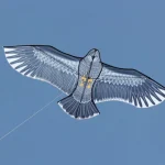 NEW Arrive Outdoor Fun Sports  59 Inch Eagle Kite With Handle And Line For Kids Or Adults Good Flying 3