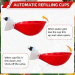 5-20Pcs Automatic Chicken Duck Drinking Cup Drinker Larger Chicken Feeder Plastic Poultry Farm Water Dispenser Quail Supply 4