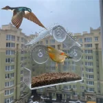 Acrylic Bird Feeder Clear Window Outside Hanging Bird Feeder House with Suction Cup for Garden Outdoor Backyard Wildlife Birding 3