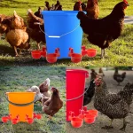 Chicken Drinking Bowl Poultry Automatic Water Dispenser Pigeon Automatic Water Dispenser Small Chick Feeding Bowl Chicken Coop 4