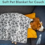 Soft Fluffy High Quality Pet Blanket Cute Cartoon Pattern Pet Mat Warm and Comfortable Blanket for Cat Dogs 3