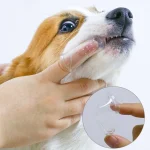 Super Soft Pet Finger Toothbrush Teddy Dog Brush Bad Breath Tartar Teeth Care Tool Dog Cat Cleaning Silicagel Pet Supplies 4