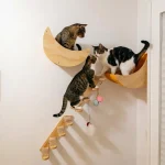 Cat Wall Hiding House Hammock Climbing Shelves Moon Perches Bed Ladder Solid Wood Steps For Activity Indoor Cats Wall Furniture 5