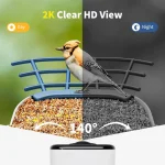 Smart Bird Feeder with Camera: AI Identifies Species, No Subscription, Solar Powered, 2K HD Video & Alerts 3