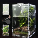 Acrylic Jumping Spider Enclosure Buckle Lock Escape Proof Reptile Feeding Tank Ventilated Transparent Reptile Habitat