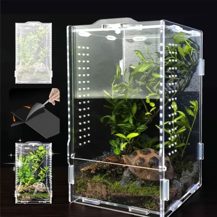 Acrylic Jumping Spider Enclosure Buckle Lock Escape Proof Reptile Feeding Tank Ventilated Transparent Reptile Habitat