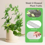 U-shaped acrylic plant climbing frame, transparent and durable, suitable for indoor vine and flower pot support 4