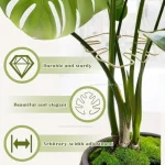 Plant Support Frame Large Hanging Plant Stand Suitable for Indoor Outdoor Flowerpot Decoration Monstera Plant Stem Stabilizer 3