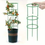 2 Layers Flower pot climbing frame Plastic plant cage frame Horticultural Pottery Support Stand Circular plant support ring 3