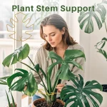 Plant Support Frame Large Hanging Plant Stand Suitable for Indoor Outdoor Flowerpot Decoration Monstera Plant Stem Stabilizer 4