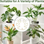 Plant Support Frame Large Hanging Plant Stand Suitable for Indoor Outdoor Flowerpot Decoration Monstera Plant Stem Stabilizer 6
