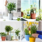 Plastic Plant Support Pile Stand Plant Support Pile for Flowers Greenhouses Arrangement Fixing Rod Holder Garden Tools 5