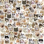 46pcs/Bag,Cat Stickers,Be for Suitcase Skateboard Luggage Laptop Phone Diy Sticke Decoration Stationery School Supplies Toys