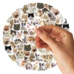 46pcs/Bag,Cat Stickers,Be for Suitcase Skateboard Luggage Laptop Phone Diy Sticke Decoration Stationery School Supplies Toys 3