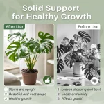 Plant Support Frame Large Hanging Plant Stand Suitable for Indoor Outdoor Flowerpot Decoration Monstera Plant Stem Stabilizer 5