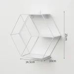 Wall Mounted Floating Shelves Decorative Shelves Circular Storage Rack Creative Plant Flower Pot Tray Nordic Home Decoration 5