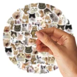 46pcs/Bag,Cat Stickers,Be for Suitcase Skateboard Luggage Laptop Phone Diy Sticke Decoration Stationery School Supplies Toys 2