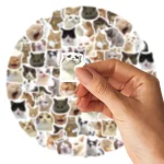 46pcs/Bag,Cat Stickers,Be for Suitcase Skateboard Luggage Laptop Phone Diy Sticke Decoration Stationery School Supplies Toys 5