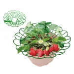Green Strawberry Planting Stand Plastic Plant Support Cage Garden Anti-rot Strawberry Growing Racks Holder with 3/4Sturdy Legs 2