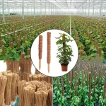 30/40/50cm Plant Climbing Coir Totem Pole Safe Gardening Coconut Stick For Climbing Plants Vines And Creepers Plant Support 3