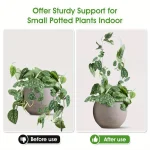 U-shaped acrylic plant climbing frame, transparent and durable, suitable for indoor vine and flower pot support 5