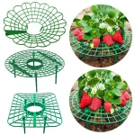 Green Strawberry Planting Stand Plastic Plant Support Cage Garden Anti-rot Strawberry Growing Racks Holder with 3/4Sturdy Legs